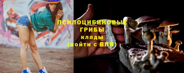 прущие крисы Богородск