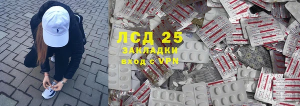 трава Белокуриха