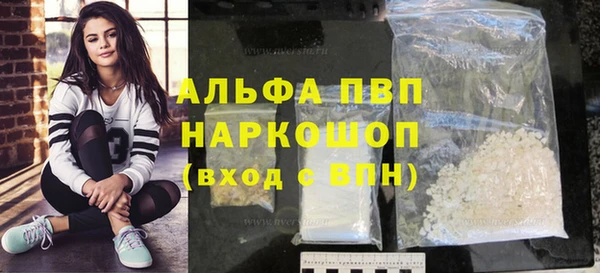 мдпв Богданович